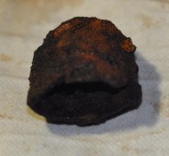 Тыльник рукояти аланской сабли, 7 век