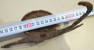 Ширина щитка рапиры: 5,5 см