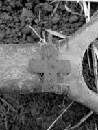 Находка древнерусского крестика с эмалями