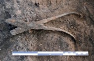 Это был один из инструментов, найденных в могиле кузнеца. Археологи предполагают, что его современники хотели показать, как талантливый и разносторонний кузнец был в своем ремесле