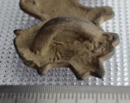 Гиппокампус бронзовый 5-4в. до н.э.