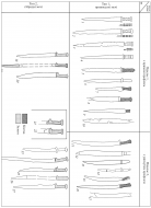 Рис. 2. Типология однолезвийного оружия скифского времени с территории Северного Причерноморья