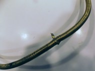 Скифский шейный обруч, плакированый сплавом электра
