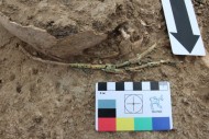 Остатки арфы-тригона, найденные в античном некрополе поселения «Волна-1» в Темрюкском районе Краснодарского края