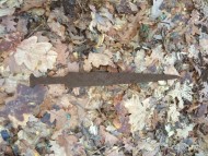 Меотский меч 4 век до н.э. находка копателя