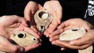 Древние масляные лампы, находка турецких археологов