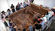 Ученые восстановили роскошную колесницу, найденную в древней гробнице
