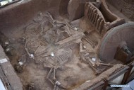 Отреставрированная древняя колесница из гробницы