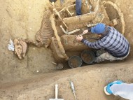 Археологи в Хорватии нашли римскую колесницу с лошадьми