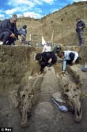 В Болгарии обнаружена древняя колесница