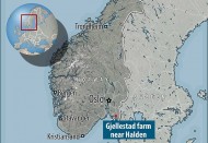 В Норвегии начали операцию по спасению погребенного корабля викингов
