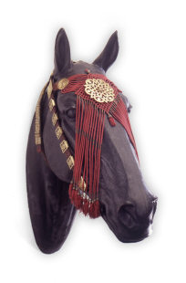 турецкое налобное украшение лошади
