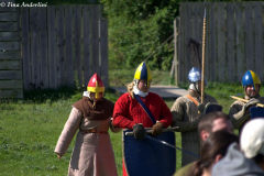 воины в норманнских шлемах