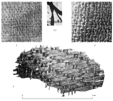 Микрофотографии ткани платья из городища Изяславль
