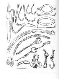 Разные предметы быта: нож, рыболовные крючки, обломки котлов (железных клепаных казанов), обломок вилки, так называемые железные подковки с шипами для хождения по льду.