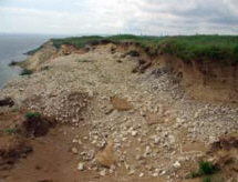 Раскопки археологов. Проводятся охранные раскопки – в связи с постепенным обрушением этого археологического памятника в водохранилище.