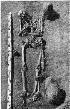 Погр. № 106 могильника Плинкайгалис с боевым ножом с левой стороны умершего