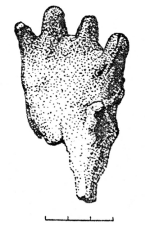 Глиняные лапы аландской формы из погребальных комплексов Тимерева