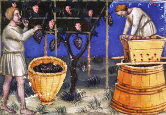 Изготовление вина в 14 веке