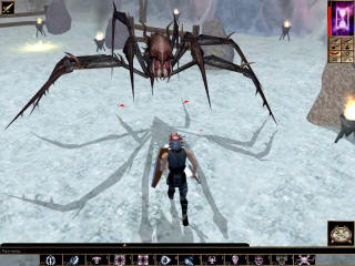 Гигантский паук в Neverwinter Nigts страшный только на вид