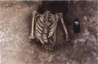 Сидоровский археологический комплекс. Раскоп 12. Помещение 11. Фрагментированный скелет человека на дне помещения