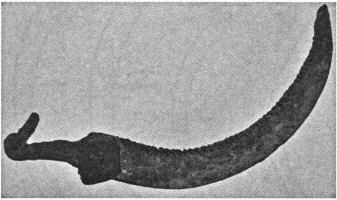 Зазубренная кромка хазарского (аланского) серпа