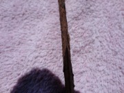 Клинок обоюдоострый с хвостовиком, длиной 84 см