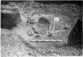 Поховання епохи пізньої бронзи